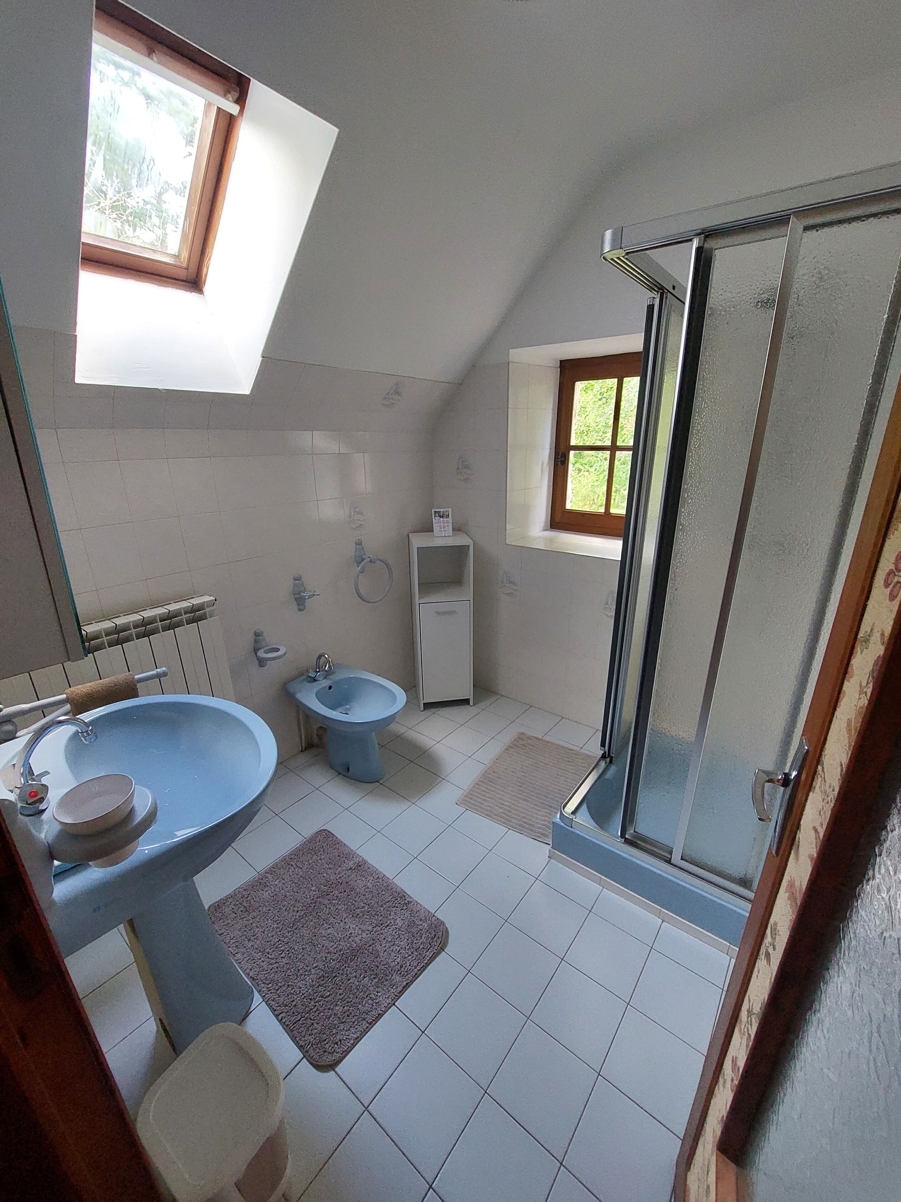 A bathroom with a sink, bidet, and shower. There is a window providing natural light and a view of greenery outside.