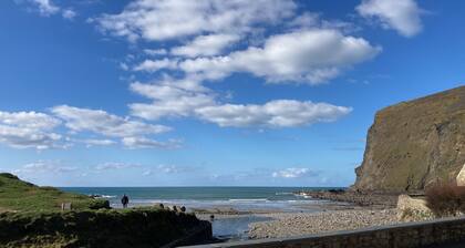 1 Bed 17th Century Stone Cottage in Rural Devon