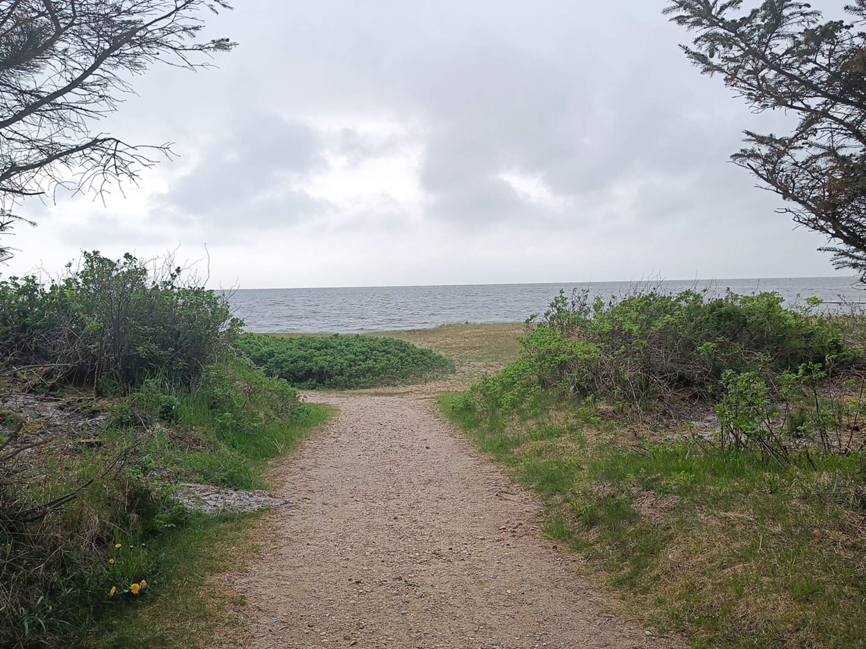 A gravel path leading to a beach with overcast skies.