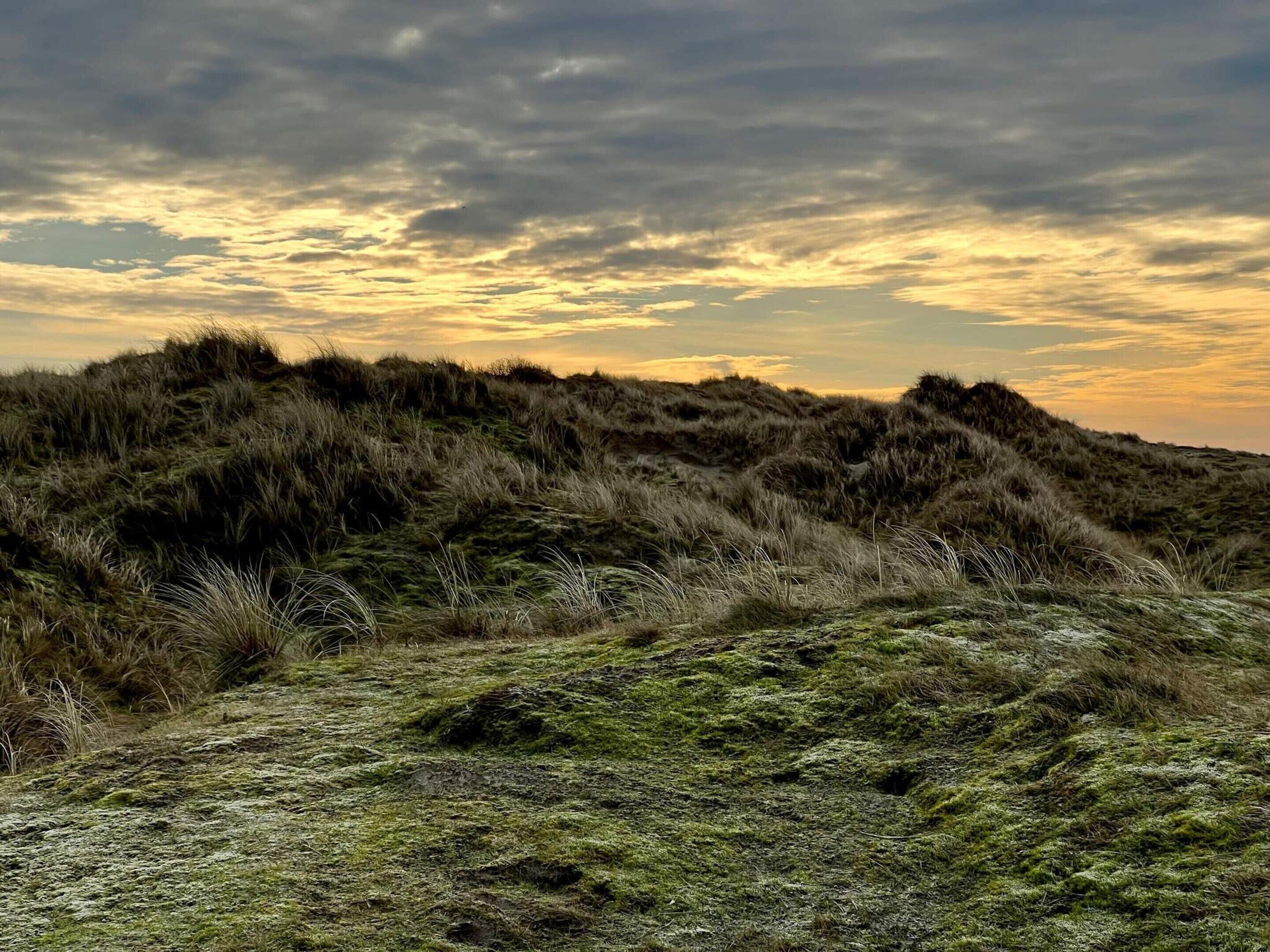 Un paysage naturel caractérisé par un terrain vallonné couvert d’herbe et un ciel nuageux.