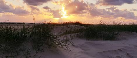 A beach landscape with sand dunes and grass at sunset.