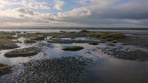 A coastal landscape with water, grass, and a cloudy sky. - 4 Person Holiday Home in Fano (Fano)