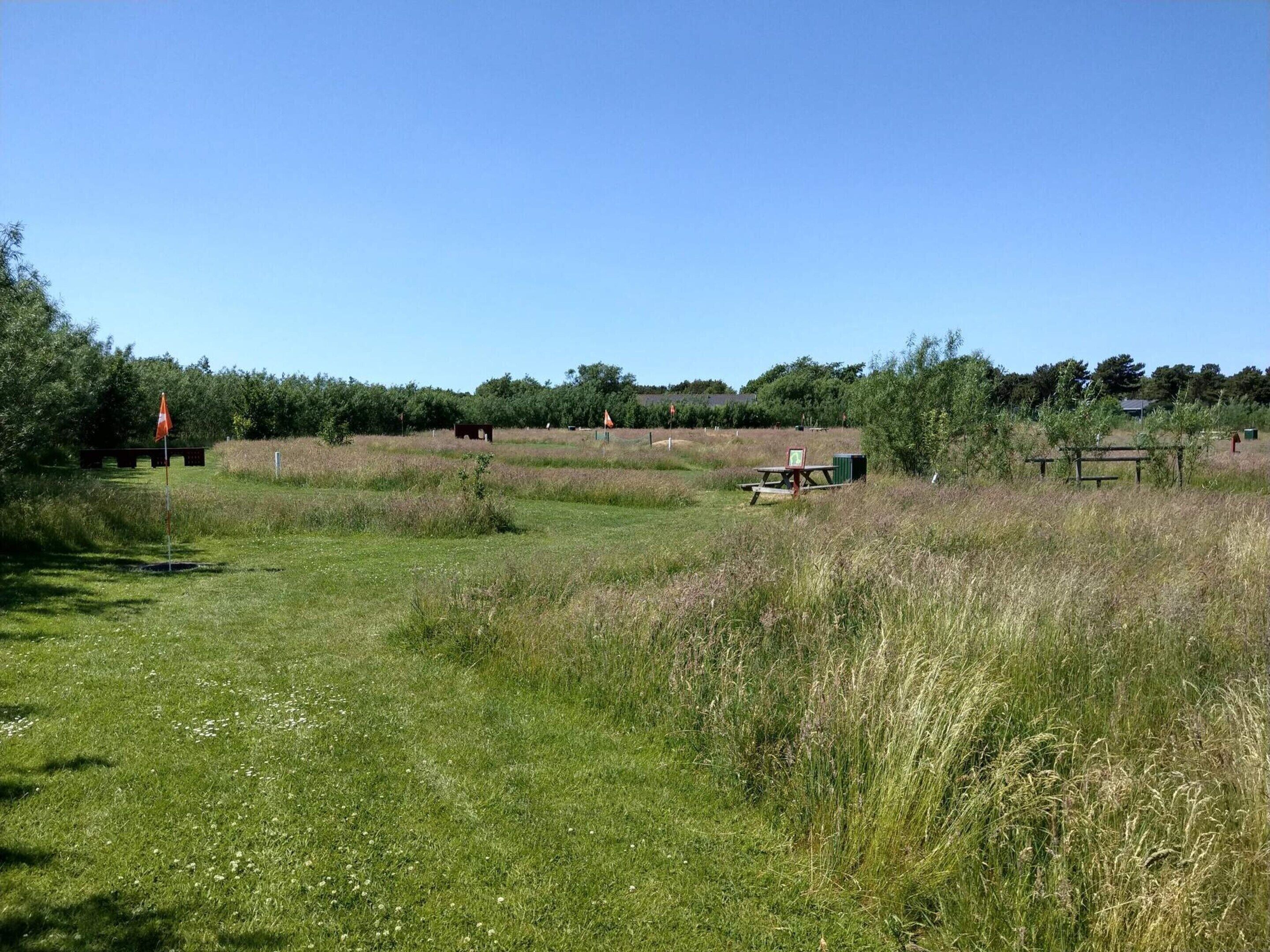 A grassy field with a picnic table and a flagpole.