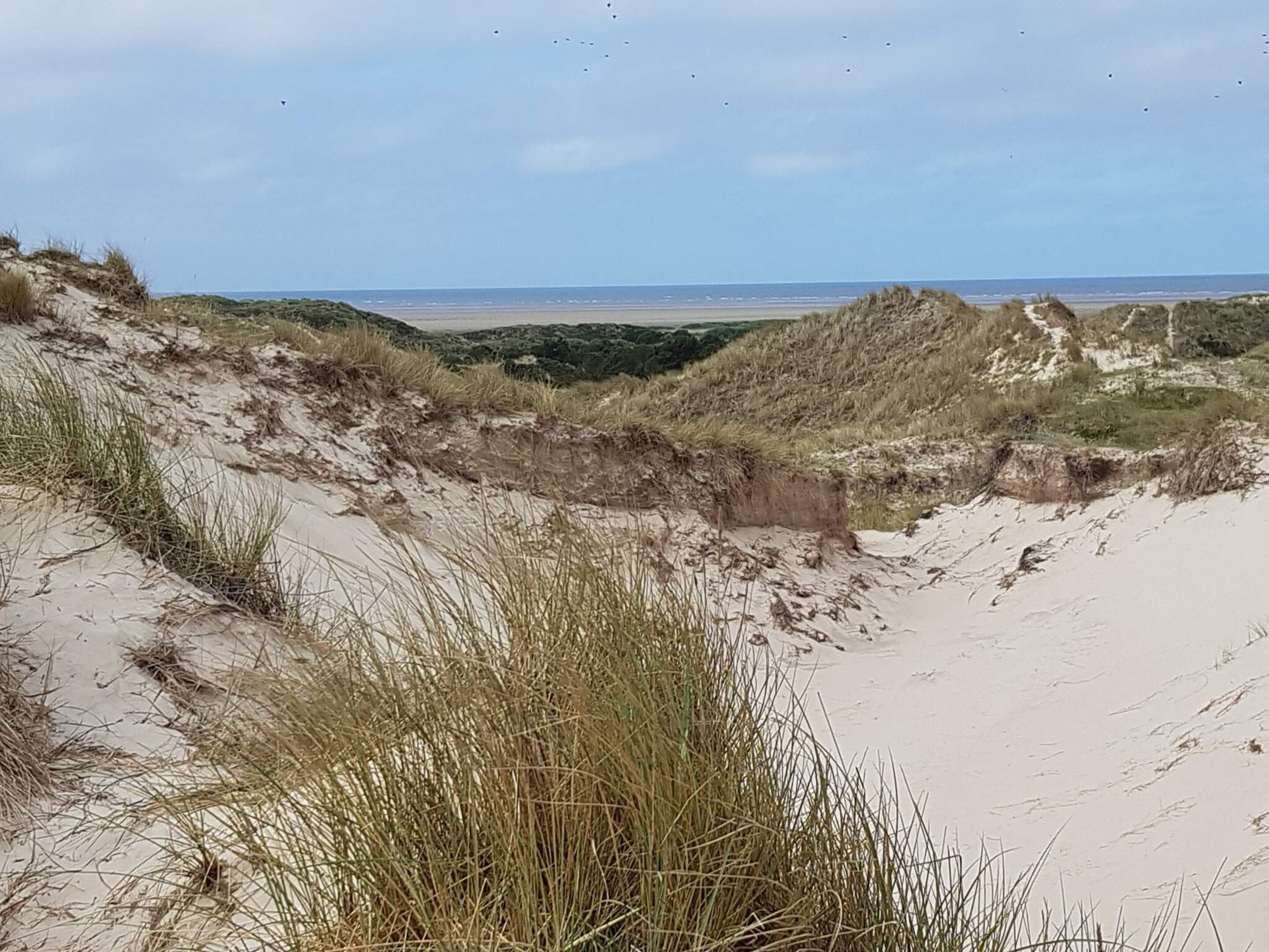 A coastal landscape with sand dunes and sparse vegetation.