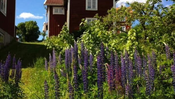 House | Exterior - 6 Person Holiday Home in Siljansnas (Siljansnas)