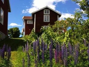 House | Exterior - 6 Person Holiday Home in Siljansnas (Siljansnas)