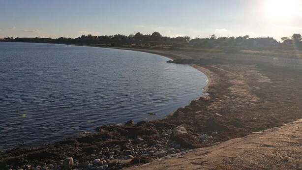 Paisatge costaner amb una platja sorrenca, aigua tranquil·la i cel serè.