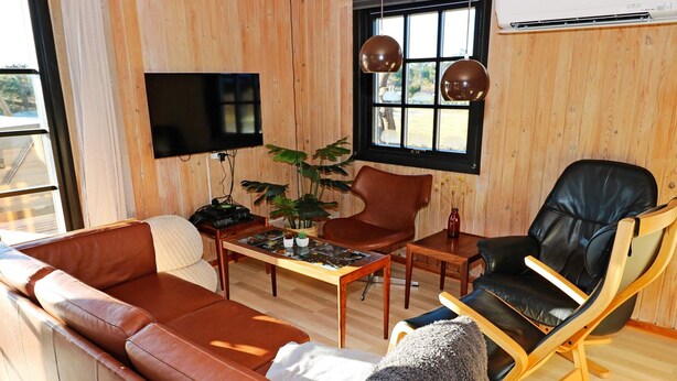 A cozy living room with a brown leather sofa, a black leather armchair, a wooden coffee table, and a potted plant. - 4 Star Holiday Home in Hadsund (Hadsund)
