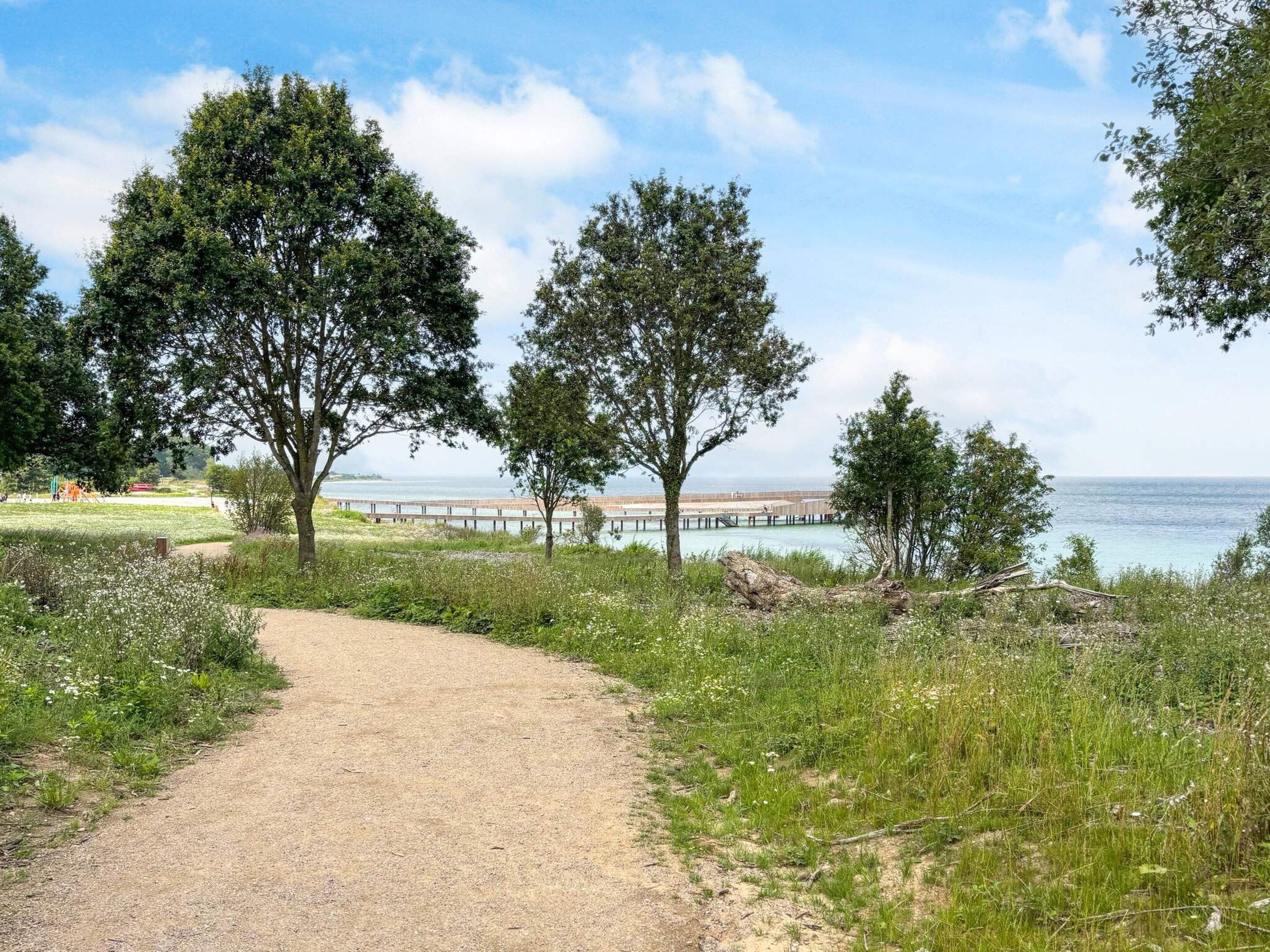 A gravel path leading to a coastal area with trees and a pier.
