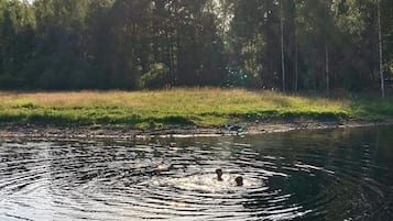 A calm river with ripples, surrounded by a grassy area and a dense forest.