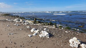A beach with scattered rocks and seaweed, a clear sky, and waves in the distance. - 4 Person Holiday Home in Hanstholm (Hanstholm)