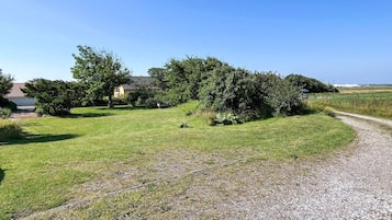 A gravel path leading to a grassy area with trees and a building in the background.