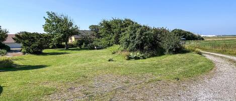 Un sendero de grava que conduce a una zona verde con árboles y un edificio al fondo.