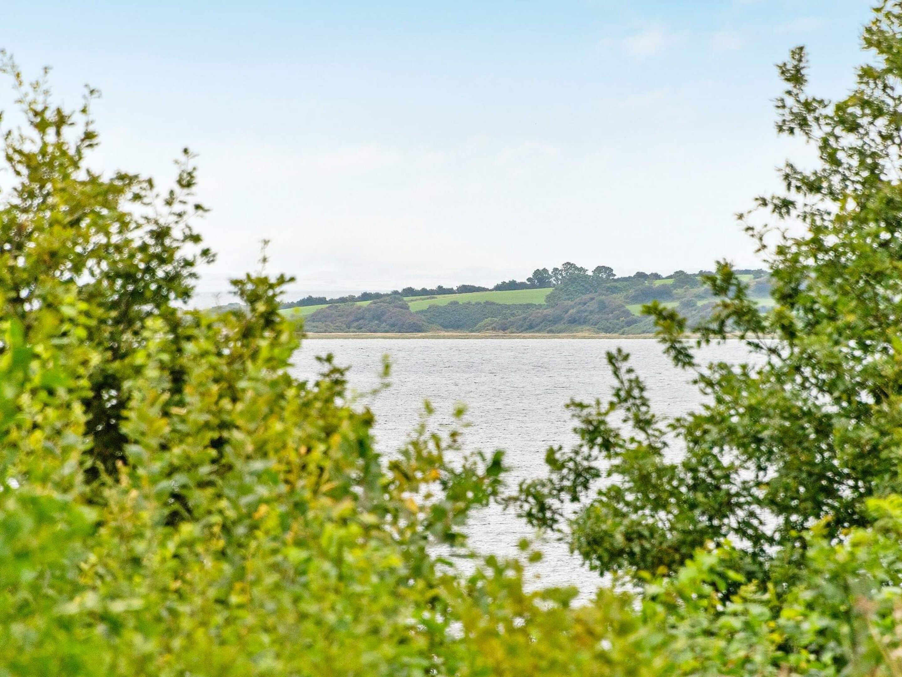 A view of a lake with a distant green landscape and trees.