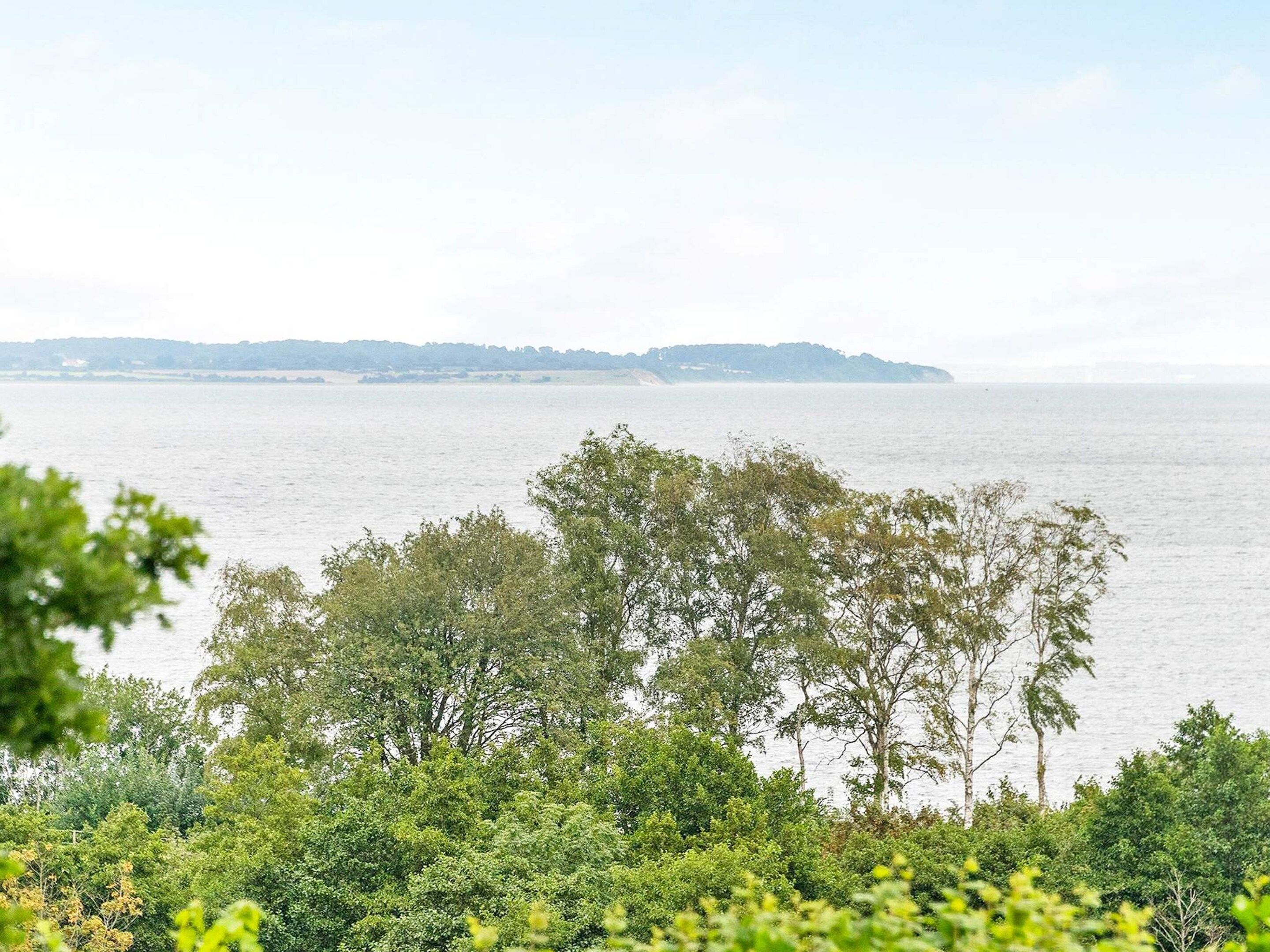 Eine Küstenlandschaft mit üppigem Grün im Vordergrund und ruhigem Meer bis zum Horizont.
