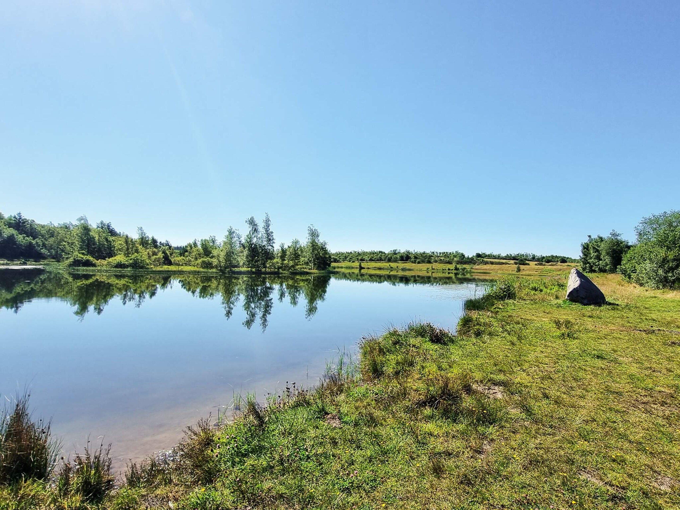 A calm lake with a grassy shore and trees in the background.