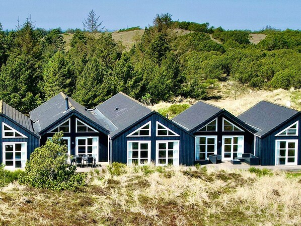 Exterior - 22 Person Holiday Home in Blavand (Blavand)