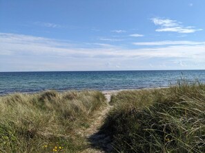 A coastal path leading to the sea with grassy dunes and a clear sky. - 10 Person Holiday Home in Idestrup (Idestrup)