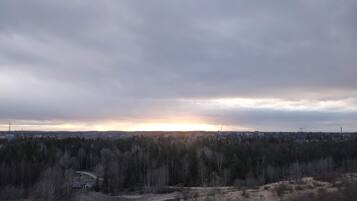 Vista panorámica de un área boscosa con una carretera que la atraviesa.