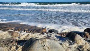 A rocky beach with waves, clear sky, and distant horizon. - 5 Star Holiday Home in Gilleleje (Gilleleje)