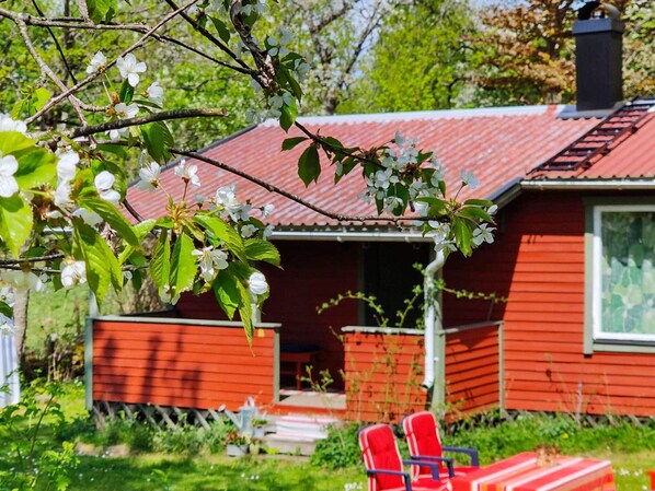 Hus | Terrasse/patio