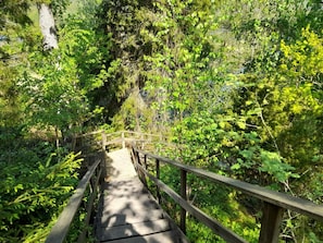 A wooden bridge with railings surrounded by dense green foliage. - 5 Person Holiday Home in Munkedal-by Traum (Munkedal)