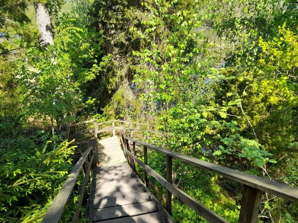 Un puente de madera con barandillas rodeado de abundante follaje verde.
