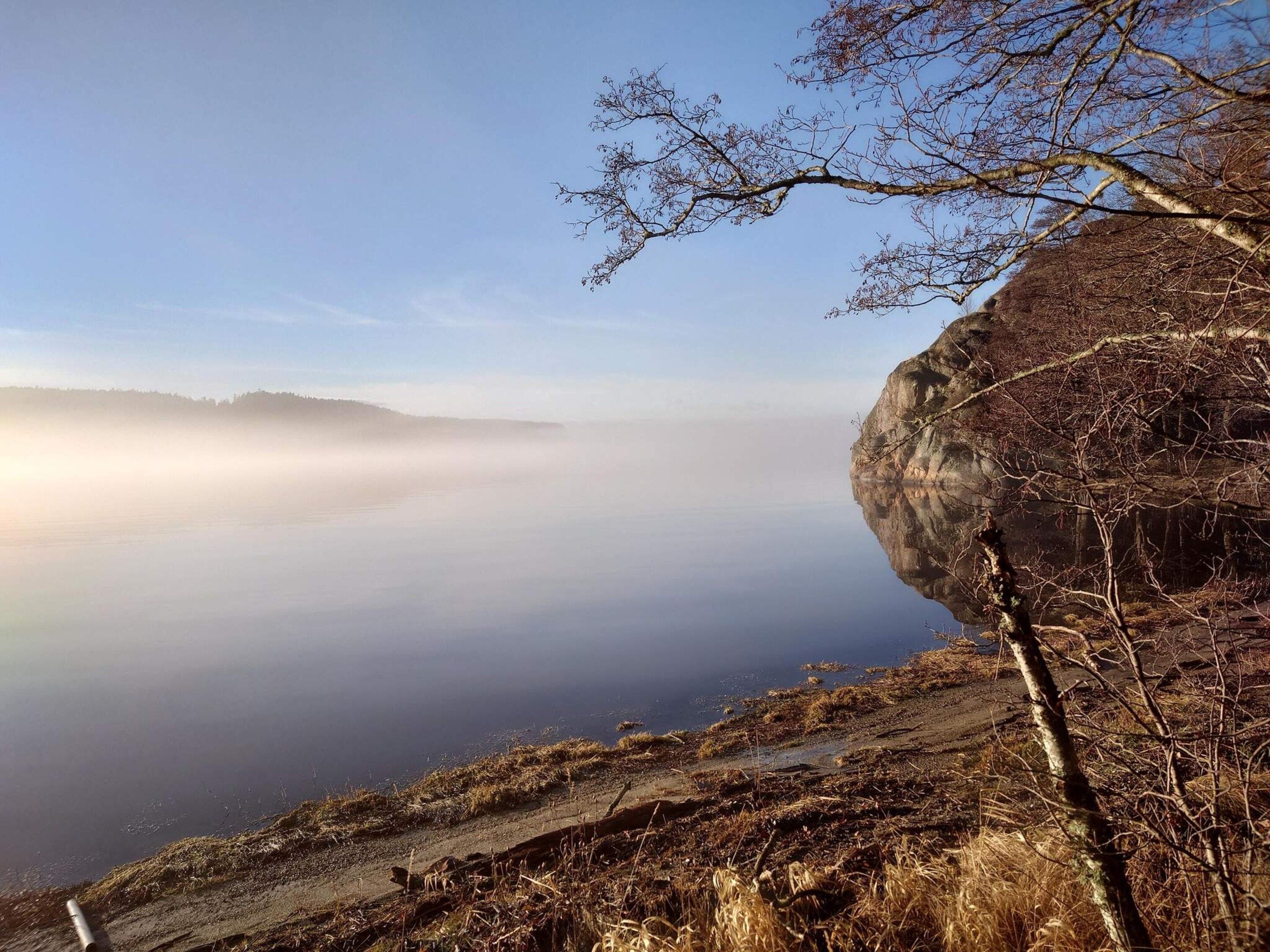 A natural landscape with a body of water, a rocky cliff, and a tree.