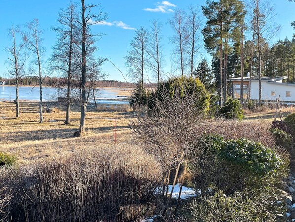 A rural landscape with a lake, trees, and a house.