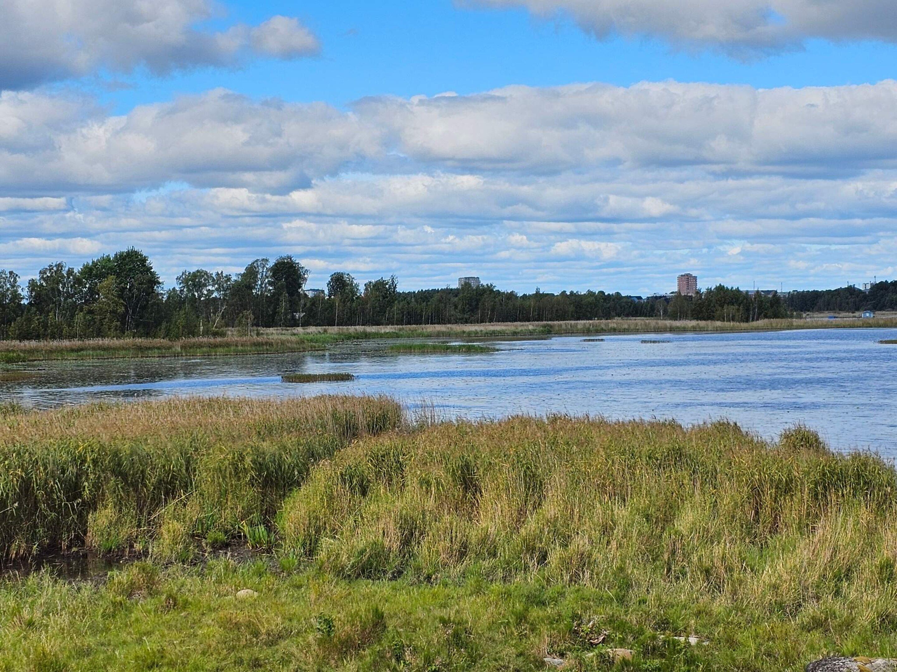 Un paisaje natural con una masa de agua, zonas de césped y un edificio a lo lejos.