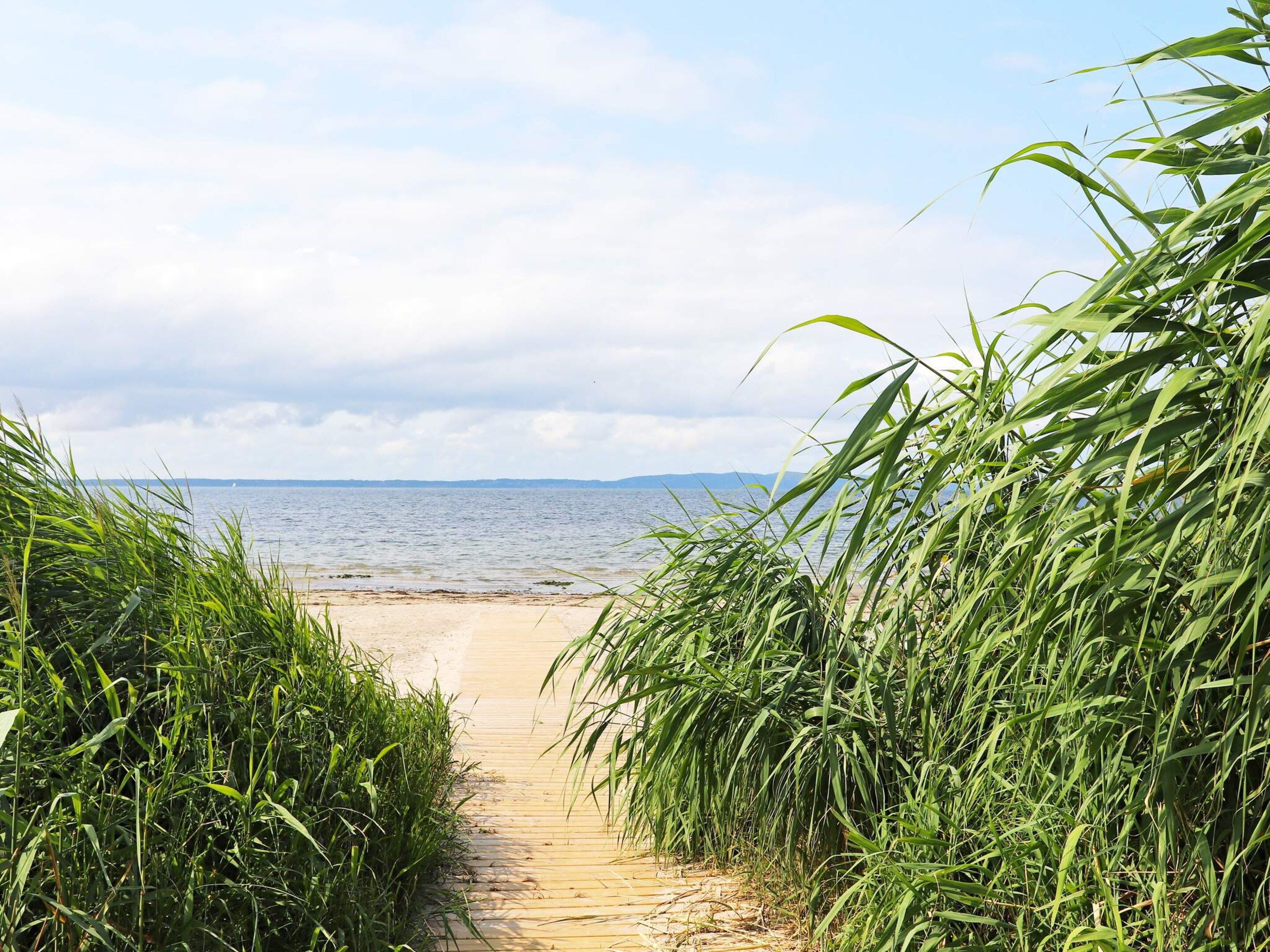A wooden pathway leading to a beach with tall grass on either side.