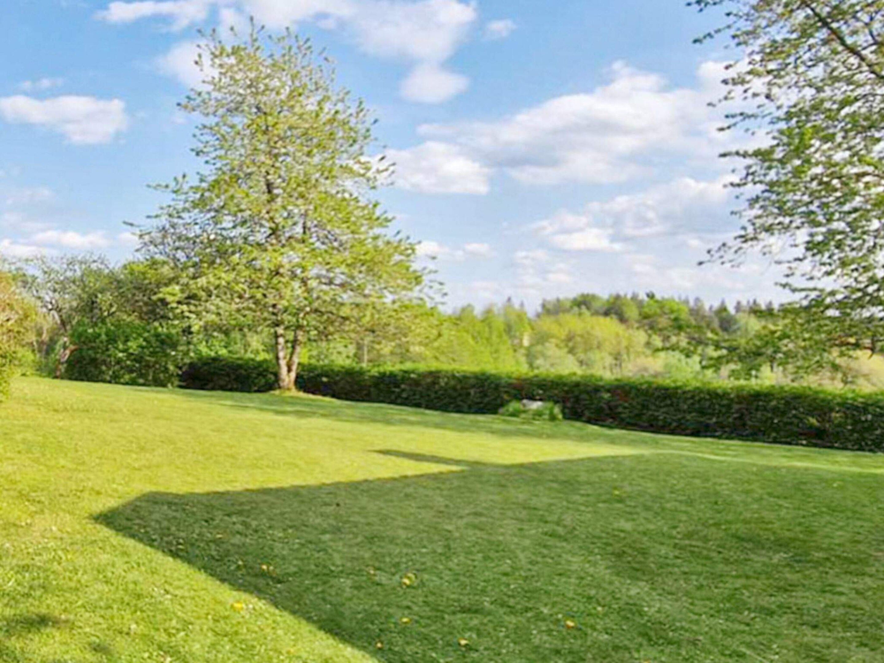 A well-maintained grassy area with a tree and a hedge.