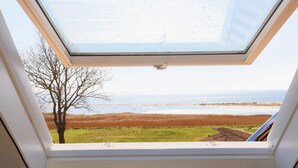 A skylight window with a view of a beach and a tree. - 10 Person Holiday Home in Assens (Assens)