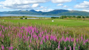 A field of purple flowers, a lake, and mountains in the background.
