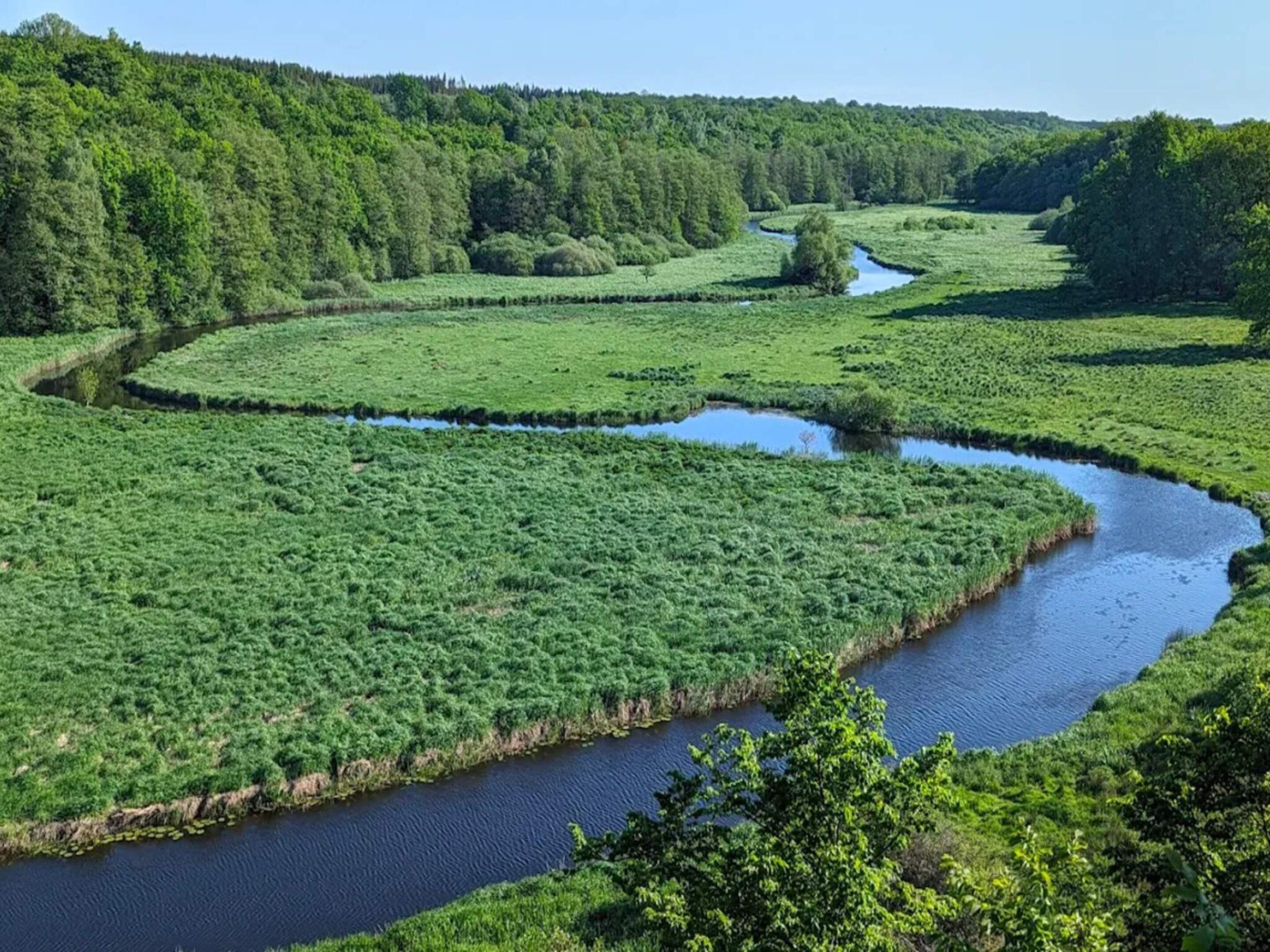 En flod som slingrar sig genom ett frodigt, grönt landskap med täta skogar på kullarna.