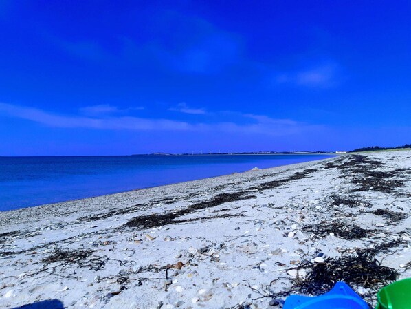 A beach with a clear sky, calm sea, and scattered seaweed on the shore.