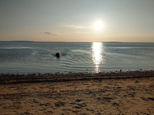 A beach with a clear view of the sea and a distant shoreline. - 7 Person Holiday Home in Logstor (Logstor)
