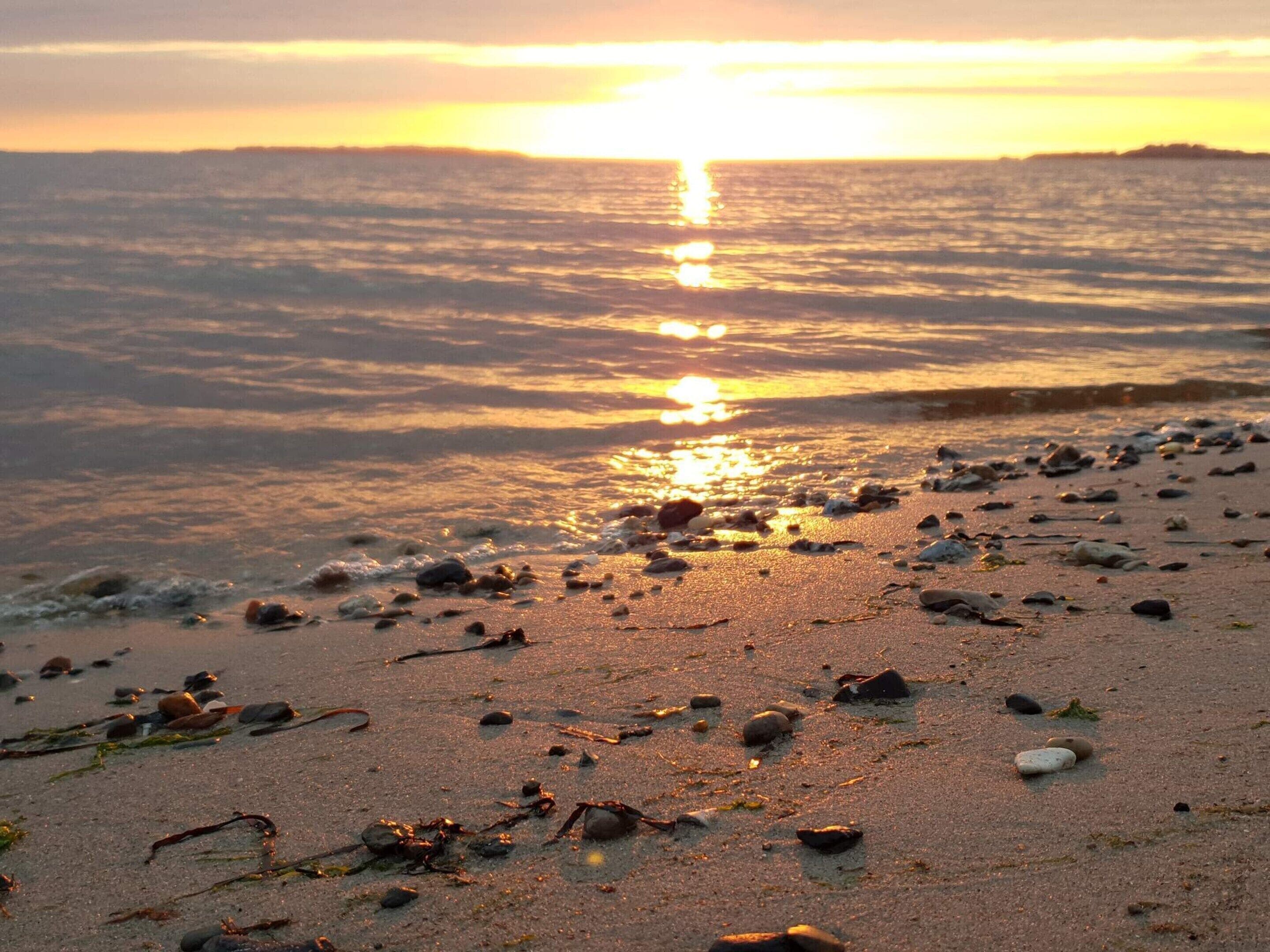A beach with scattered rocks and seaweed, and the sun is setting over the water.
