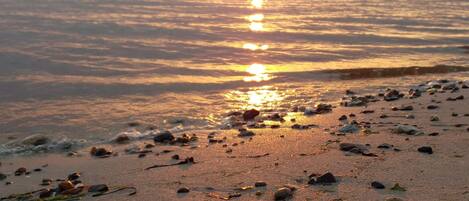 A beach with scattered rocks and seaweed, and the sun is setting over the water.