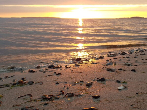 Ein Strand mit verstreuten Steinen und Seetang, und die Sonne geht über dem Wasser unter.