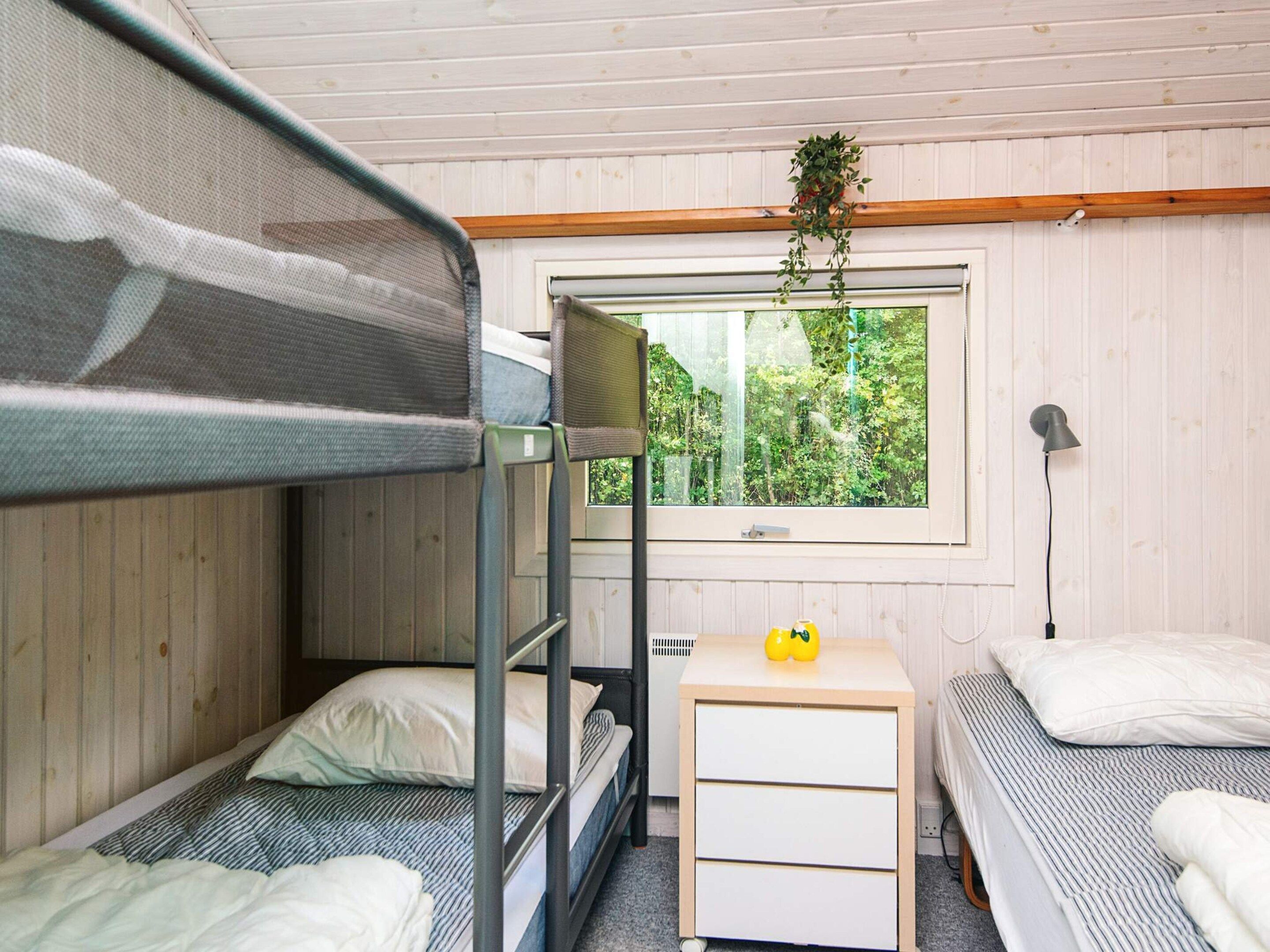 A bunk bed room with a window, a bedside table with a lamp, and a hanging plant.