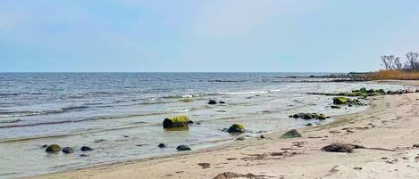 House | Beach
