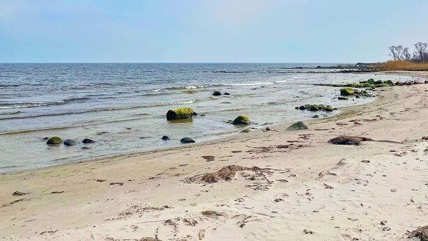 A beach with a sandy shore, scattered rocks, and calm water.