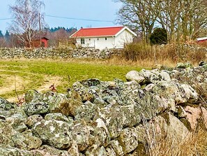 A rural landscape with a stone wall, a white building with a red roof, and a red barn in the background.