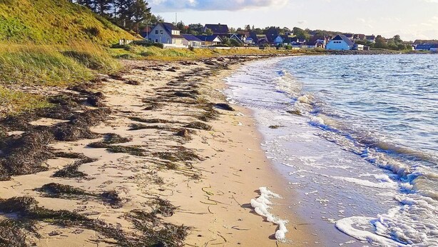 A sandy beach with houses in the background. - 6 Person Holiday Home in Farso (Farso)