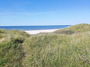 Une plage avec des dunes de sable et une v égétation herbacée.