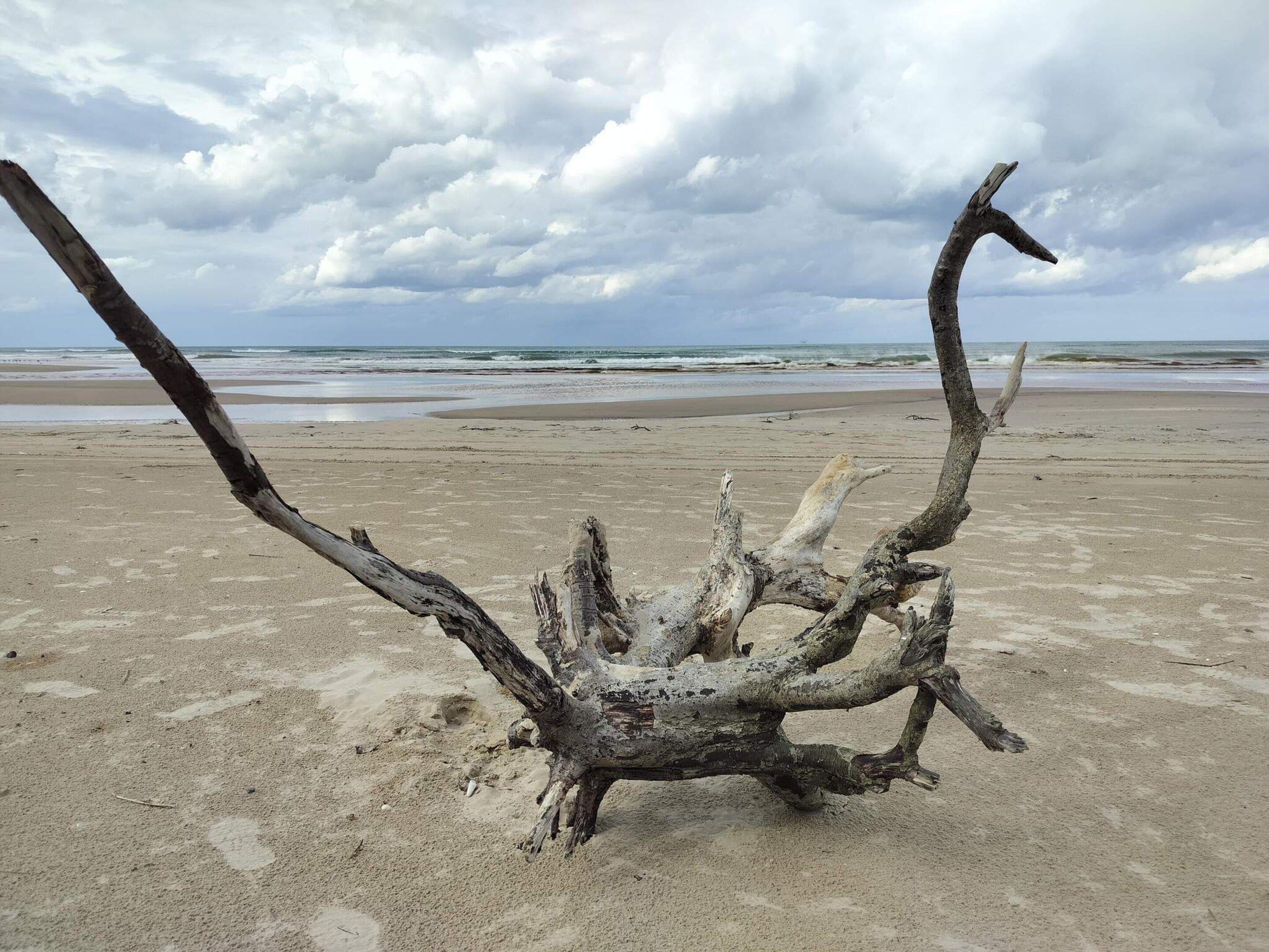 Una playa con una estructura grande de madera a la vista.