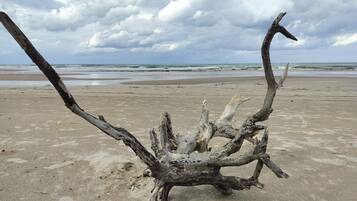 Una playa con una estructura grande de madera a la vista.