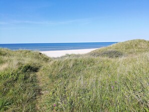 House | Beach