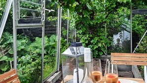 Une serre où une table est dressée pour deux personnes, avec une bouteille de vin, deux verres et un saladier de fraises.